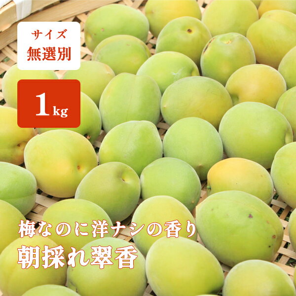 全国お取り寄せグルメ食品ランキング[梅(61～90位)]第74位