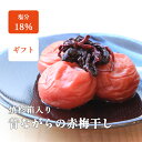 梅干し ギフト 内祝い シソ梅 塩分18% 600g 無添加 すっぱい 紀州南高梅 中道さんの昔ながらの特選赤梅干 贈答 進物 中元 歳暮 父の日 敬老の日 送...