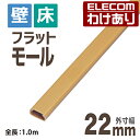 【訳あり】エレコム フラットモール 壁 床用 ケーブルカバー 配線カバー 配線モール ブラウン 1m 幅22mm#N A LD-GAF2/BR 【税込3300円...