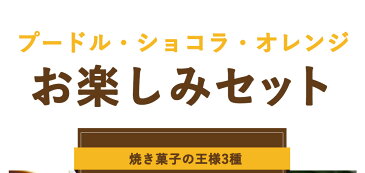 【訳あり】 やわらかさくさく 3種のフロランタン　15個セット（3種類×各5個） ［訳ありスイーツ 洋菓子 焼き菓子 お菓子 送料無料］【メール便A】【TSG】