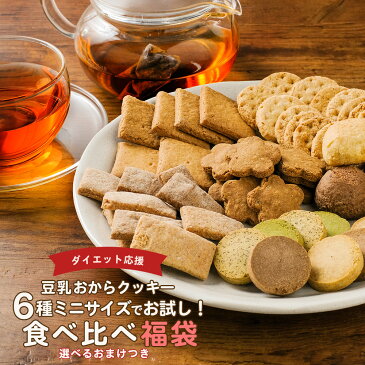 おまけつき!豆乳おからクッキー 福袋 ミニサイズ 6袋(6種各1袋)おからクッキー お試し ハード 低糖質 ダイエット食品 置き換え お菓子 ダイエットクッキー スイーツ 詰め合わせ 送料無料 メール便A TSG TN