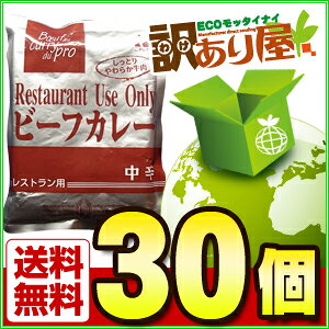 【訳あり/送料無料】レストランユースオンリーカレー（ビーフカレー中辛200g×30食）[ニチレイ/老舗ホテル、レストランも使用/レトルト食品/お試し/業務用/非常食/わけあり]【RCP】【smtb-s】▲▼