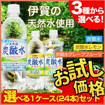 【在庫限り】 3種類から選べる　天然水炭酸水　500ml×24本 【近畿A】【宅配便B】