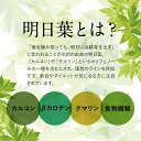 ＼LINEお友達登録で20％OFFクーポン獲得／明日葉 粉末 青汁 (100g) 明日葉粉末 パウダー 国産 無添加 あしたば あしたば茶 粉末茶 美容 健康 ダイエット サプリ 鹿児島県 カルコン βカロテン ベータカロテン 食物繊維 アシタバ クマリン 送料無料 3