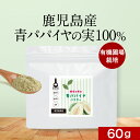 【LINE登録で15%OFFクーポン獲得】酵素 青パパイヤ パウダー 60g 粉末 パパイヤ酵素 スーパーフード 添加物不使用 エイジングケア 美容 健康 ダイ...