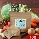 野菜だし だしパック 5g×10包 九州産 出汁 パック だし 国産 出汁 野菜 食塩不使用 酵母エキス不使用 ブイヨン 玉ねぎ キャベツ 白菜 大根 セロリ トマト ごぼう しいたけ 人参 生姜 味噌汁 健康 栄養 送料無料