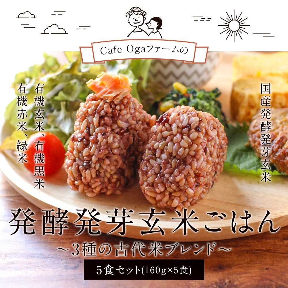発酵 発芽玄米 (160g×5食パック) パックご飯 玄米 発芽玄米 黒米 赤米 緑米 乳酸菌...