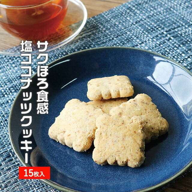 【在庫処分！ポイント15倍】サクほろ食感 塩ココナッツクッキー 15枚セット　訳あり 送料無料 訳ありスイーツ お菓子 洋菓子 ココナッツ クッキー バレンタイン ホワイトデー TSG