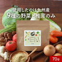 だし 野菜だし フレーク 粉末 国産 70g 出汁 野菜 食塩不使用 酵母エキス不使用 九州産 ブイヨン 玉ねぎ キャベツ 白菜 大根 セロリ トマト ごぼう しいたけ 人参 生姜粉末出汁 味噌汁 子ども 健康 栄養 送料無料