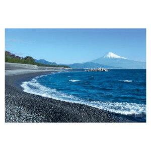 富士山ポストカード 三保の松原から富士山を望む (YN-001) 当店オリジナル写真絵はがき