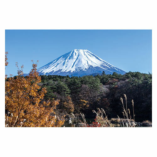 富士山ポストカード　精進湖から富