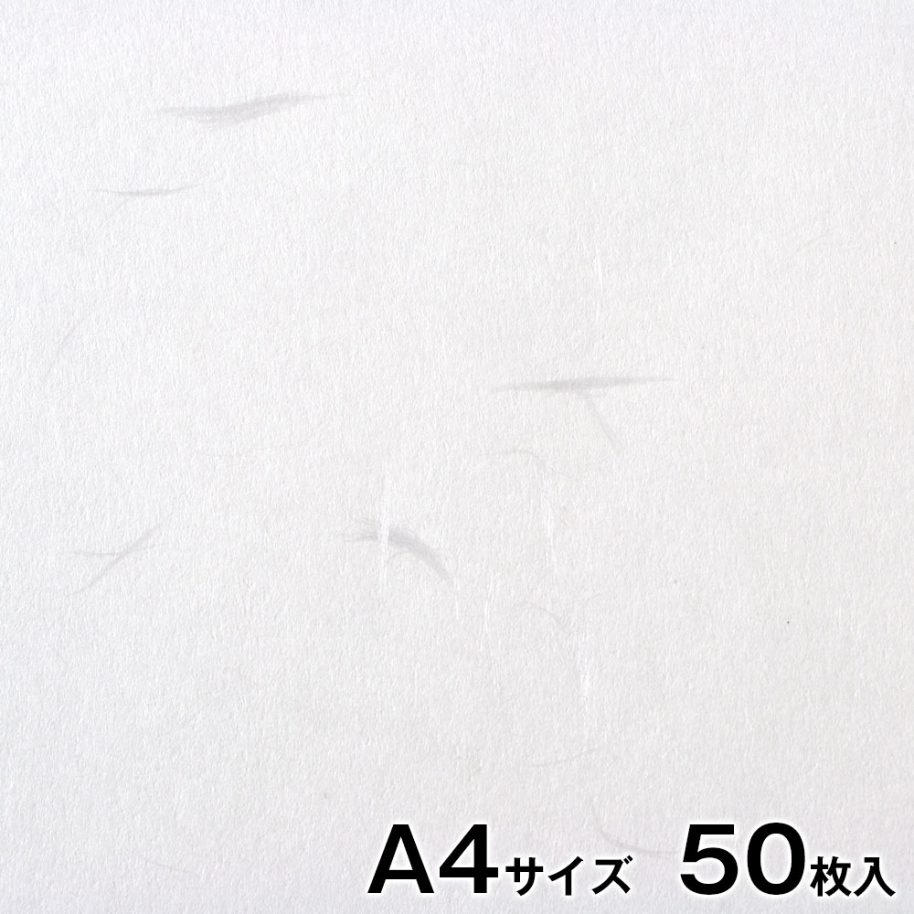 v^[a@咼@玆@@A4TCY50@CNWFbgE[U[Ή