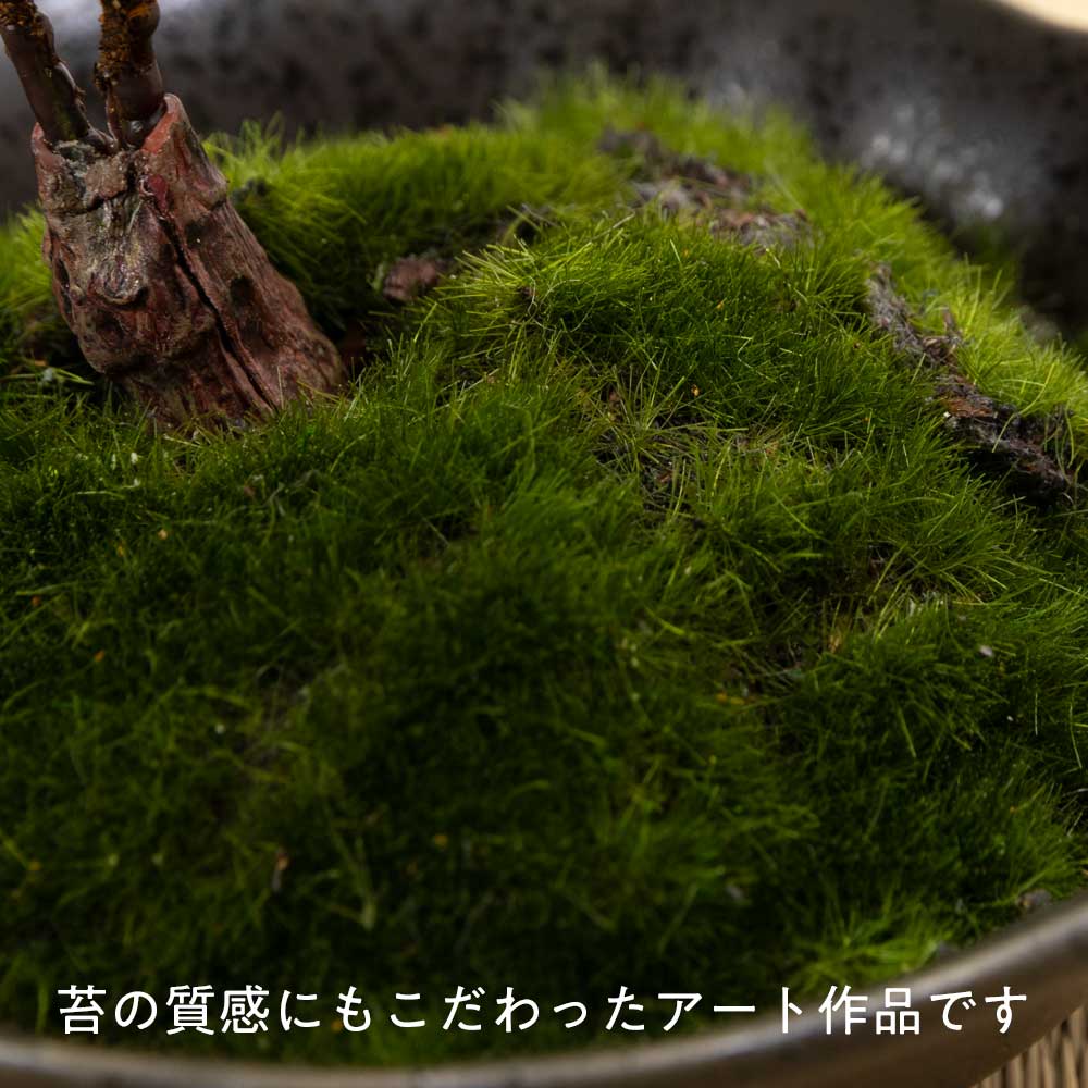 フェイクアート盆栽 然-ZEN- 寸-SUN-ミディアム03 本物を知る庭師職人がリアルな盆栽をイメージして作ったBONSAIモデル 日本的和風インテリア [3]