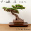 2ĤȾۤˤۥߺϡץ饹åǥ륭åȡ--1:12ץǥ롡Bonsai plastic model kit