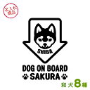 お名前ステッカーおすまし顔（DOG ON BOARD） 秋田犬 甲斐犬 紀州犬 四国犬 柴犬 北海道犬 狆 日本スピッツ 犬 グッズ 雑貨 名入れ 犬舎 車 玄関 イラスト 名入れ かわいい おしゃれ