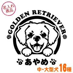 https://thumbnail.image.rakuten.co.jp/@0_mall/waken-zanmai/cabinet/02032995/09692299/s-oogata003-101.gif