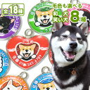 迷子札 笑い犬(和犬) 柴犬 秋田犬 甲斐犬 紀州犬 四国犬 北海道犬 狆 日本スピッツ 犬 名前 ペット 日本犬 グッズ 雑貨 黒柴 白柴 かわいい おしゃれ オーダーメイド ネームタグ ドックタグ ネームプレート 名札 名入れ 柴犬グッズ プレゼント