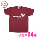 【在庫限り】MCドッグワゴン　Tシャツ　レディースT　Sサイズ【プードル　輸入雑貨　犬雑貨　犬グッズ】