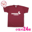 お名前Tシャツ 小型犬おすわりシルエット（よこ長） トイプードル チワワ ダックスフンド ポメラニアン シーズー パグ ヨークシャーテリア パピヨン フレンチブルドッグ ミニチュアシュナウザー マルチーズ コーギー ミニチュアピンシャー キャバリア グッズ 雑貨