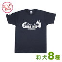 お名前Tシャツ（キリリ顔 梅/波） 秋田犬 甲斐犬 紀州犬 四国犬 柴犬 北海道犬 狆 日本スピッツ 雑貨 グッズ オーナー ウェア 和犬 日本犬 名入れ オリジナル オーダーメイド 愛犬 ペット 飼主 プレゼント 誕生日