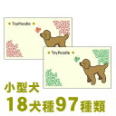 誕生日やお祝いのプレゼントに添えたり、愛犬の紹介名刺に。ミニチュア・ピンシャー(ミニピン)、ジャック・ラッセル・テリア愛犬メッセージカード チワワ,トイプードル,ダックスフンド,ポメラニアン,シーズー,パグ,ヨークシャーテリア,パピヨン,フレンチブルドッグ,ミニチュアシュナウザー,マルチーズ,コーギー,狆,日本スピッツ,キャバリア,ビーグルの雑貨・グッズ