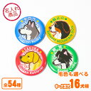 お名前 缶バッジ (中・大型犬イラスト)32mm ゴールデンレトリバー ラブラドールレトリバー ボーダーコリー バーニーズマウンテンドッグ ブルドッグ シベリア...