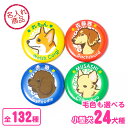 お名前 缶バッジ(小型犬イラスト)32mm トイプードル チワワ ダックスフンド シーズー ポメラニアン パグ ヨークシャーテリア パピヨン フレンチブルドッグ...