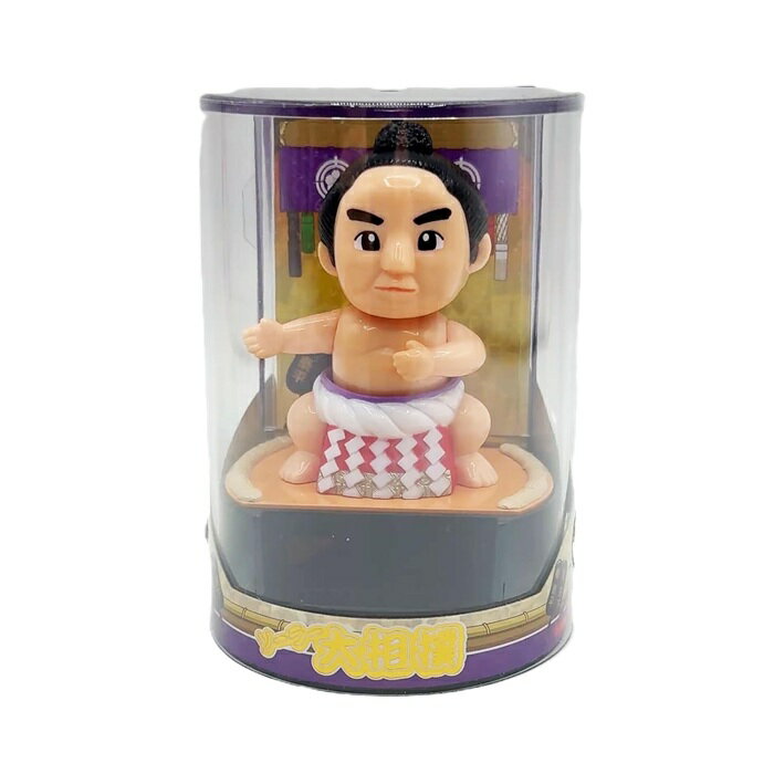 ソーラー 大相撲