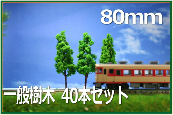 �����Ϸ���80mm���С�40�ܥ��å�