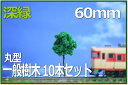 樹木模型 丸型 60mm 深緑 10本セット