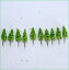 植栽素材 円錐 30mm 10本 コニファーゴールドクレストなど 造園庭園樹木外構デザイン【ネコポス可】