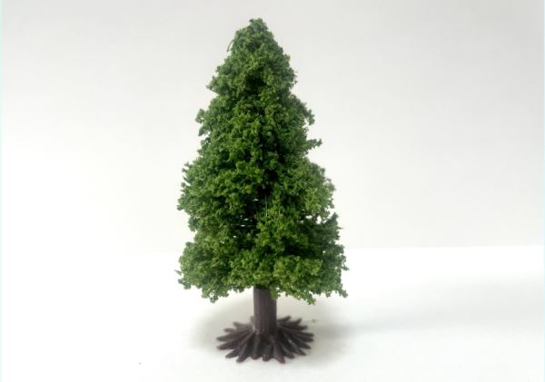 針葉樹C　60-70mm　5本セット　土台付