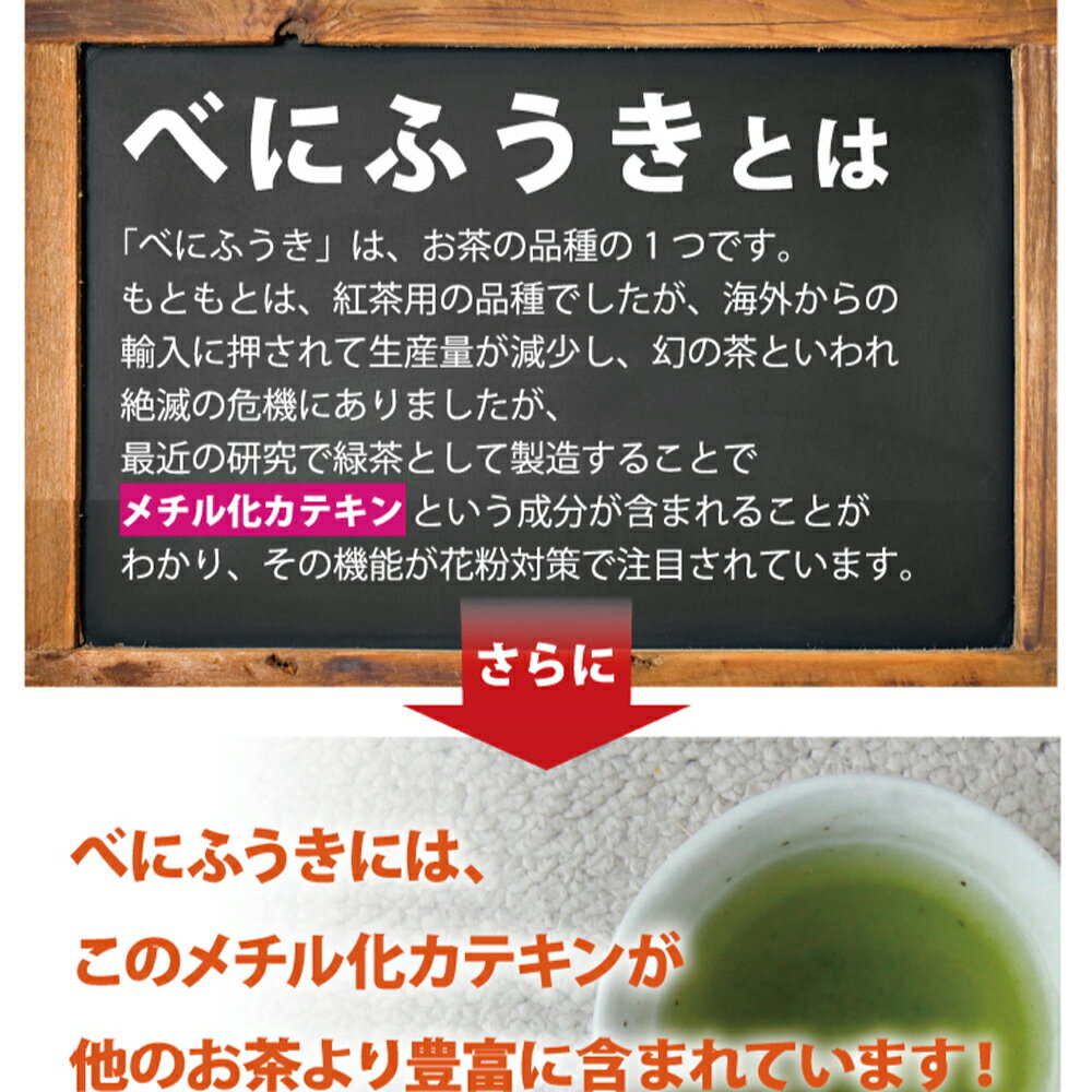 べにふうき粉末茶 60g 缶タイプ メチル化カテキン入り 紅富貴 紅ふうき 日本茶 お茶 緑茶 粉末緑茶 粉茶 パウダー 手土産 プチギフト