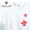 NFT CryptoCrystal クリプトクリスタル Tシャツ Coral コーラル サンゴ 珊瑚宝石 鉱石 貴石 宝石をモチーフにした可愛いキャラクター達NFT イラスト アパレル グッズ キャラクターホワイト S M L XL