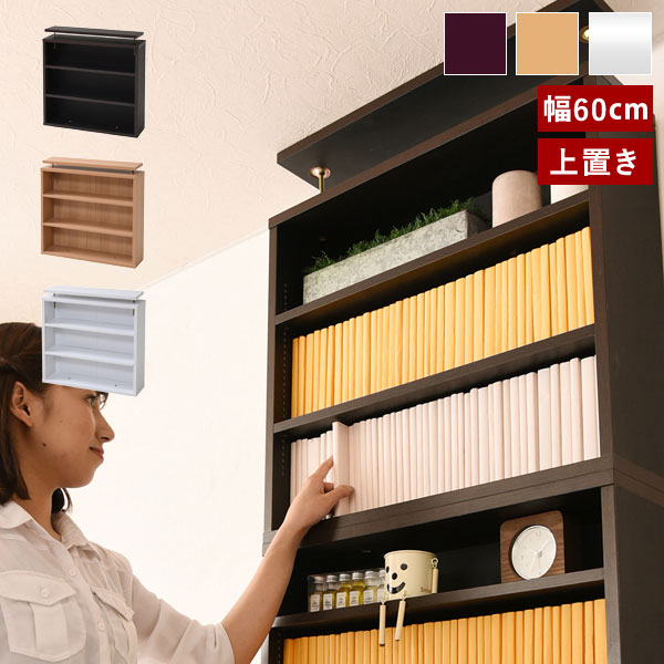 つっぱり壁面収納 本棚 薄型 上置き 幅60cm 収納家具 1cmピッチ 大収納ラック CD DVD YHK-0215-JK