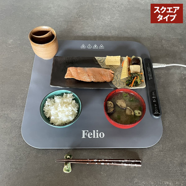 スクエアタイプ Felio フードウォーマー 80度 100度 常温保温 食品保温プレート 電気保温プレート BW401