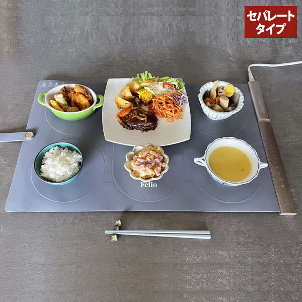 セパレートタイプ Felio フードウォーマー 60度 80度 100度 120度 タイマー機能 常温保温 食品保温プレ..