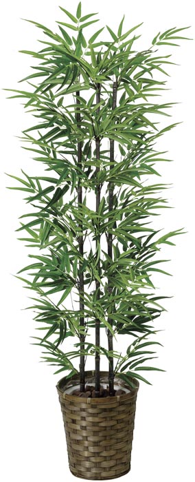 光の楽園 黒竹1.35 178A230 アートグリーン 人工観葉植物 光触媒