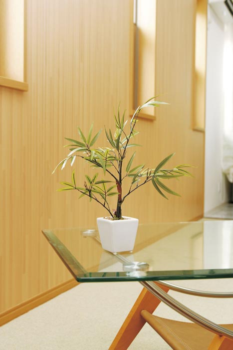 光の楽園 黒竹 238K35 アートグリーン 人工観葉植物 光触媒