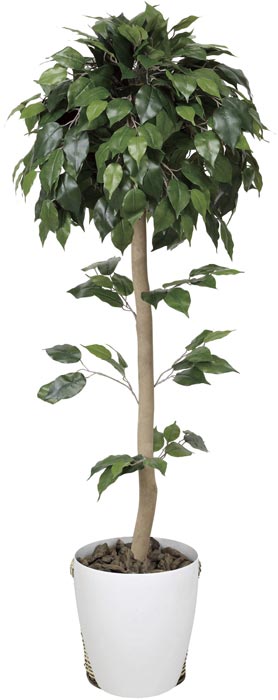 光の楽園 ベンジャミントピアリー1.5 373B240 アートグリーン 人工観葉植物 光触媒