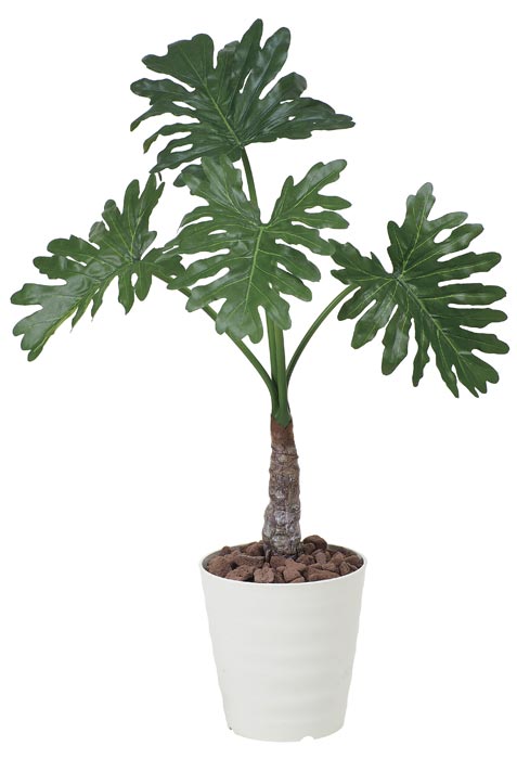 光の楽園 セローム1.0 376K175 アートグリーン 人工観葉植物 光触媒