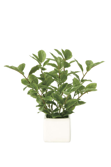 光の楽園 ミニリーフ 936K28 アートグリーン 人工観葉植物 光触媒