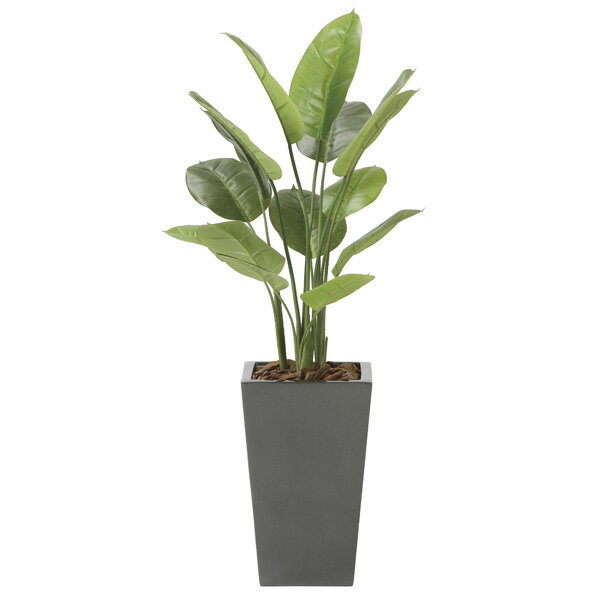 光の楽園 スキンダブサス1．1 2239K360 アートグリーン フェイクグリーン 人工観葉植物 光触媒