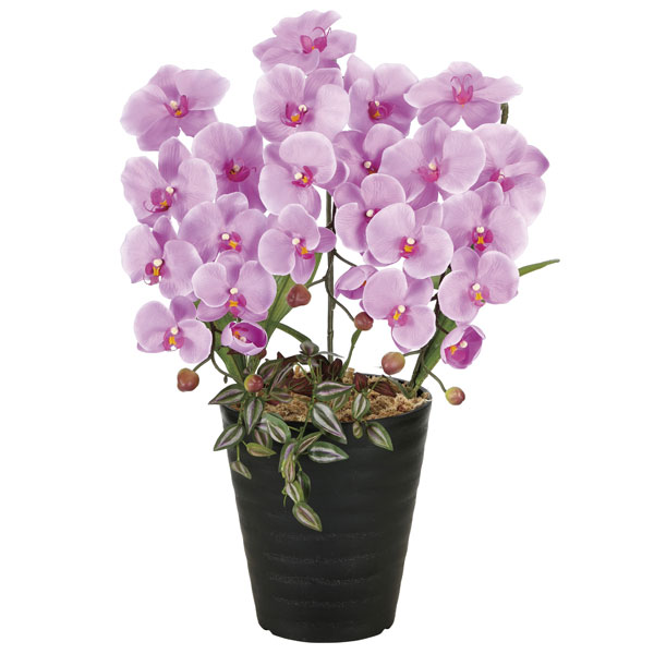 光の楽園 プリンセス胡蝶蘭L 2265K60 アートフラワー 造花 光触媒