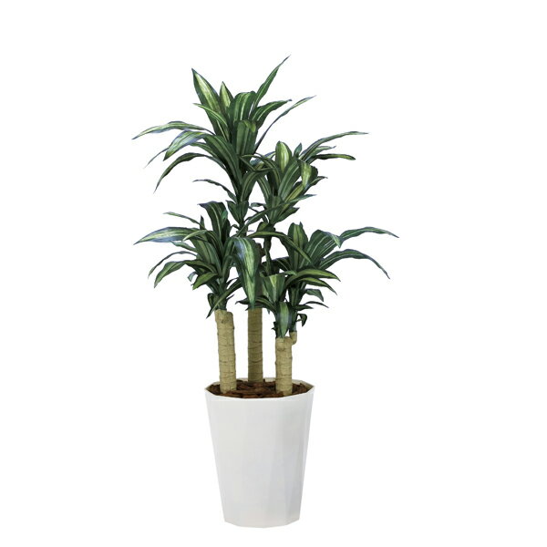 光の楽園 幸福の木1．3 2316P280 アートグリーン フェイクグリーン 人工観葉植物 光触媒