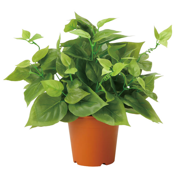 光の楽園 ライムポトス 2346A50 アートグリーン フェイクグリーン 人工観葉植物 光触媒