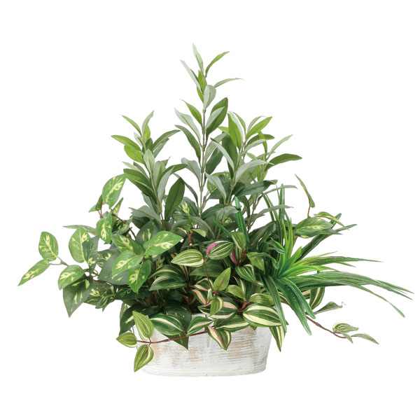 光の楽園 寄せ植えオリーブ 2348A100 アートグリーン フェイクグリーン 人工観葉植物 光触媒