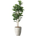 光の楽園 ナチュラルカシワバゴム1.8 2406M690 アートグリーン フェイクグリーン 人工観葉植物 光触媒