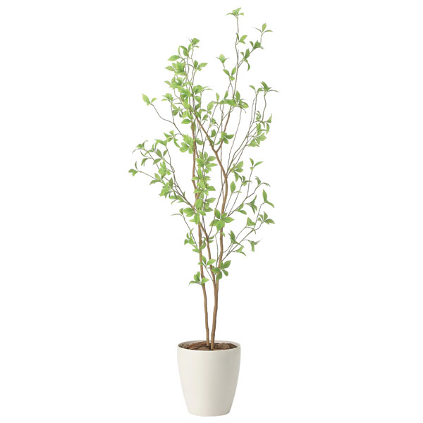 光の楽園 クロモジ1.6 2415A260 アートグリーン フェイクグリーン 人工観葉植物 光触媒