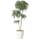 光の楽園 DXショウナンゴム1.8 2417A500 アートグリーン フェイクグリーン 人工観葉植物 光触媒